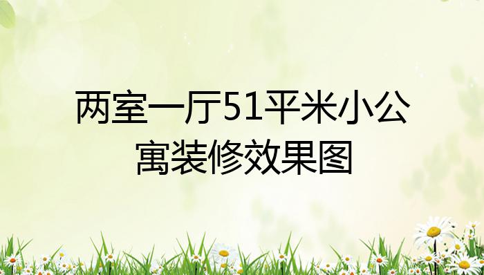 两室一厅51平米小公寓装修效果图